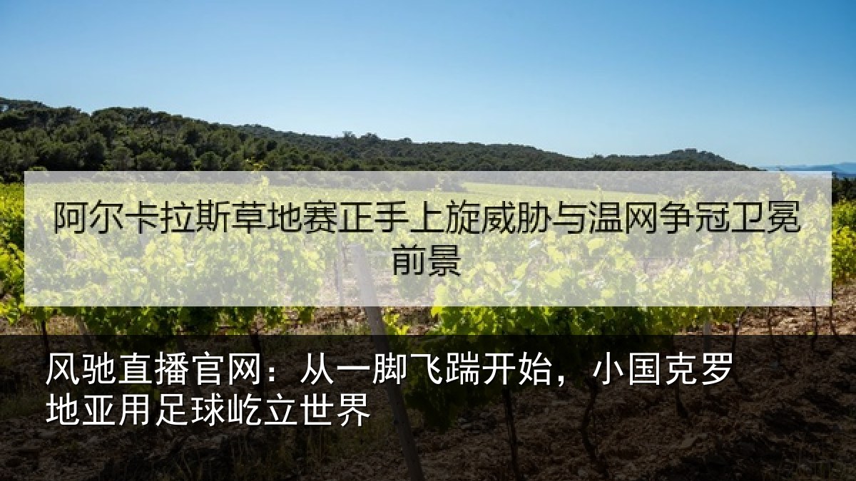 风驰直播官网:从一相关情况罗地相关情况